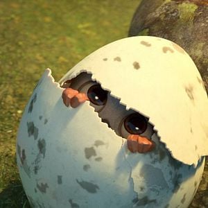 Fotoğraf Puloi: Asla Yalnız Uçmayacaksın