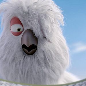 Fotoğraf Puloi: Asla Yalnız Uçmayacaksın