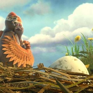 Fotoğraf Puloi: Asla Yalnız Uçmayacaksın