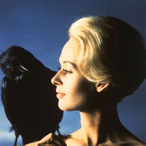 Fotoğraf Tippi Hedren