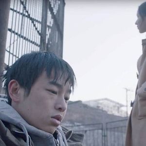 Fotoğraf Öylece Oturan Bir Fil