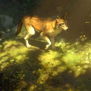 Fotoğraf Beyaz Diş