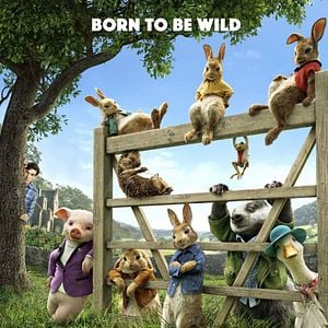 Fotoğraf Tavşan Peter