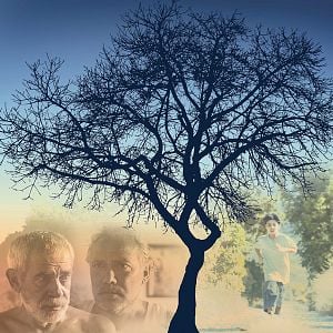 Fotoğraf Vicdan Ağacı