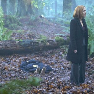 Fotoğraf The X-Files