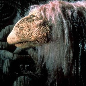 Fotoğraf Dark Crystal, The