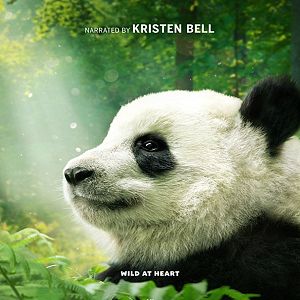 Fotoğraf Pandas