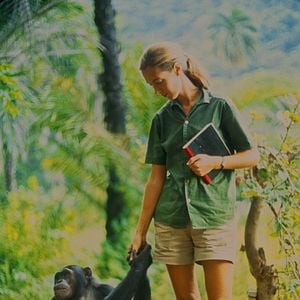 Fotoğraf Jane Goodall