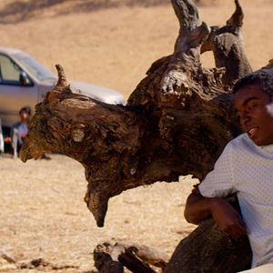 Fotoğraf Anthony Kirlew