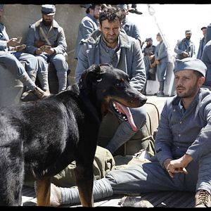 Fotoğraf Nicolas Duvauchelle