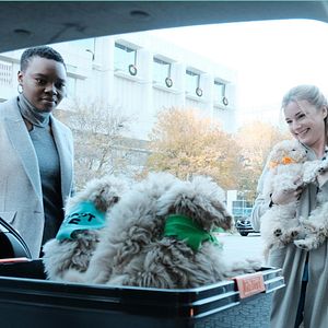 Fotoğraf Emily VanCamp