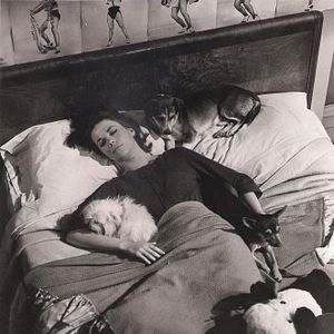 Fotoğraf Aradığım Aşk