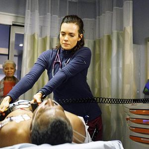 Fotoğraf Torrey DeVitto