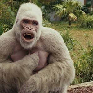 Fotoğraf Rampage: Büyük Yıkım