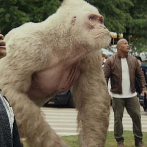 Fotoğraf Dwayne Johnson