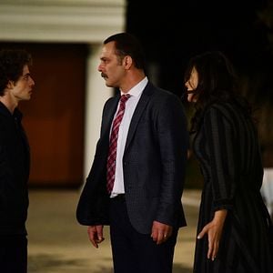 Fotoğraf Kanatsız Kuşlar