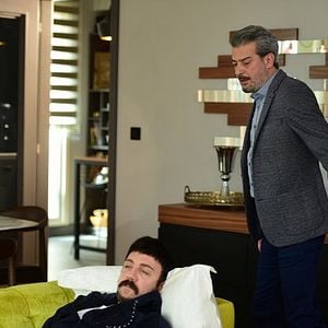 Fotoğraf Kanatsız Kuşlar