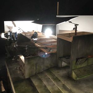 Fotoğraf Köpek Adası