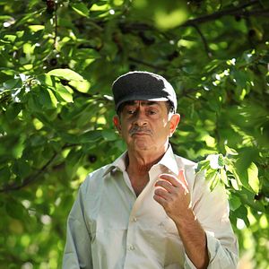 Fotoğraf Kiraz Mevsimi