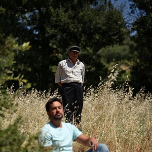 Fotoğraf Kiraz Mevsimi