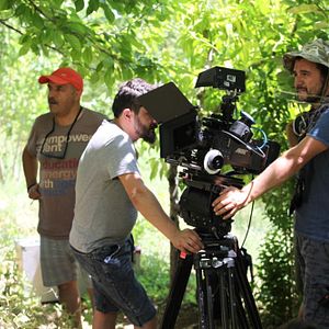 Fotoğraf Kiraz Mevsimi