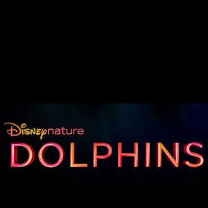 Fotoğraf Dolphin Reef