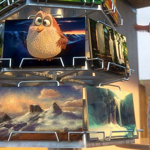 Fotoğraf Puloi: Asla Yalnız Uçmayacaksın