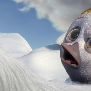 Fotoğraf Puloi: Asla Yalnız Uçmayacaksın