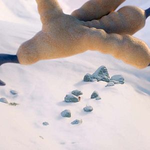 Fotoğraf Puloi: Asla Yalnız Uçmayacaksın