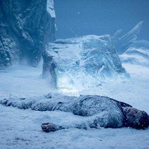 Fotoğraf Cameron Cuffe