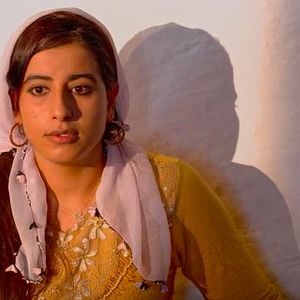 Fotoğraf Horoz Bayram