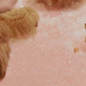 Fotoğraf Diamantino