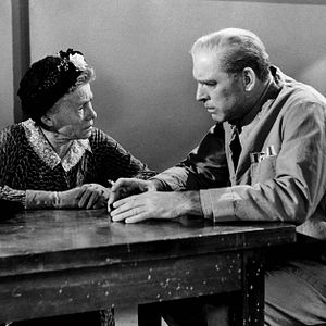 Fotoğraf Alkatraz Kuşçusu