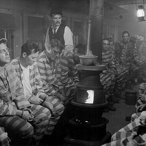 Fotoğraf Alkatraz Kuşçusu