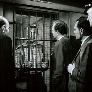 Fotoğraf Alkatraz Kuşçusu