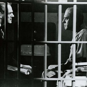 Fotoğraf Alkatraz Kuşçusu