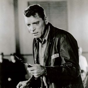 Fotoğraf Alkatraz Kuşçusu