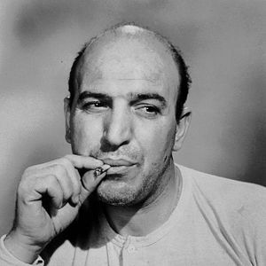 Fotoğraf Alkatraz Kuşçusu