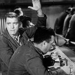 Fotoğraf Alkatraz Kuşçusu