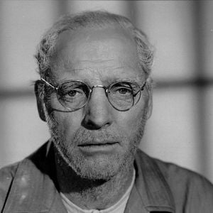 Fotoğraf Alkatraz Kuşçusu