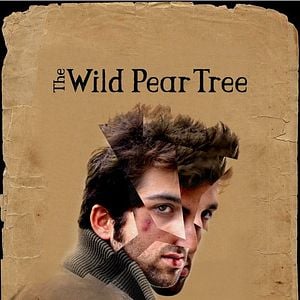 Fotoğraf Ahlat Ağacı