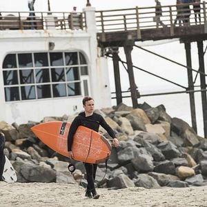 Fotoğraf Animal Kingdom