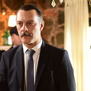 Fotoğraf Kanatsız Kuşlar