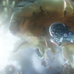 Fotoğraf Ant-Man ve Wasp