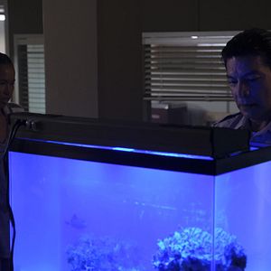 Fotoğraf Gil Birmingham