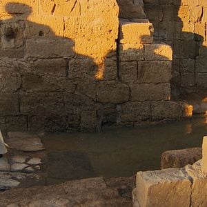 Fotoğraf Pope Francis - A Man of His Word