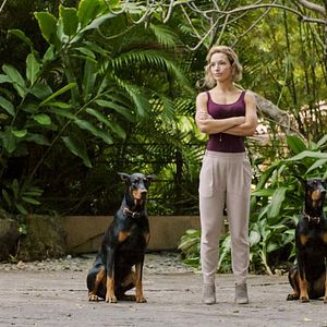 Fotoğraf Magnum, P.I. (2018)