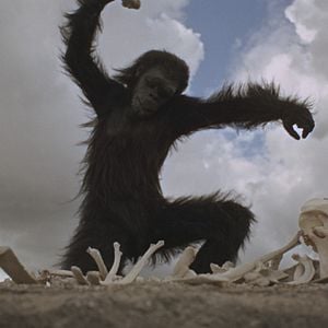 Fotoğraf 2001: Uzay Macerası