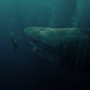 Fotoğraf Meg: Derinlerdeki Dehşet