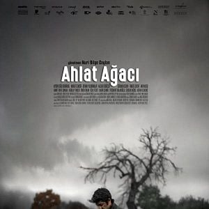 Fotoğraf Ahlat Ağacı